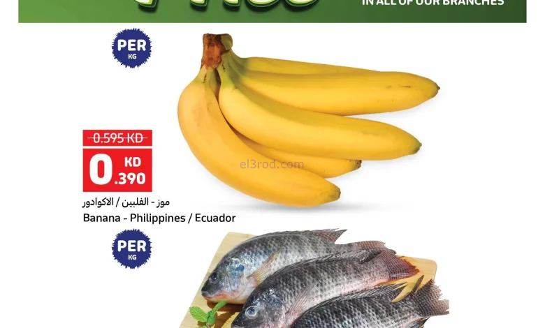 el3rod.com00001