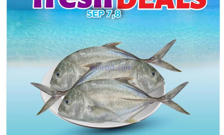 el3rod.com00002