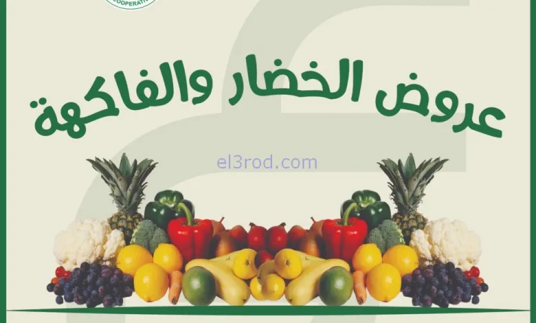 el3rod.com00003