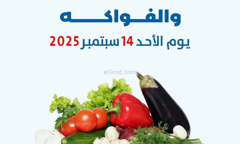 el3rod.com00003