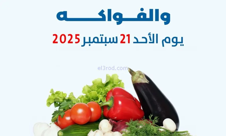 el3rod.com00005