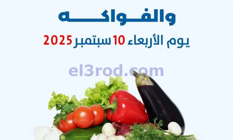 el3rod.com00008