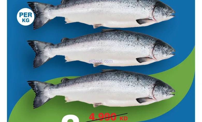 el3rod.com00001