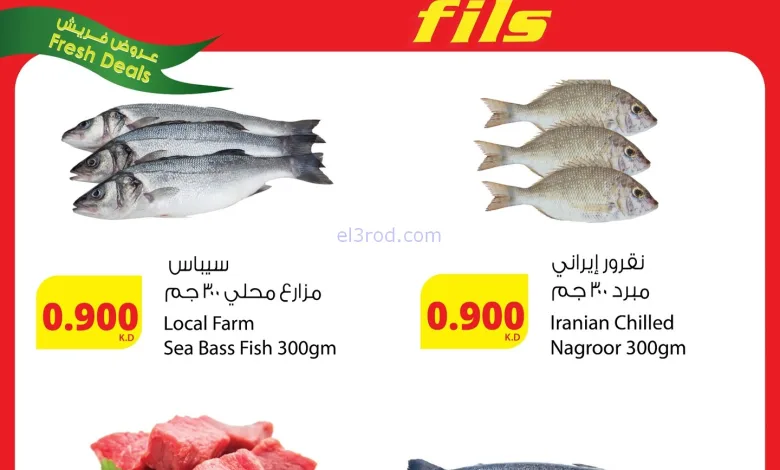 el3rod.com00001
