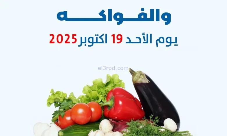 el3rod.com00001