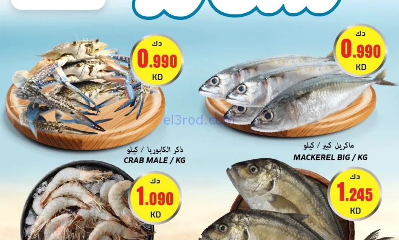 el3rod.com00004