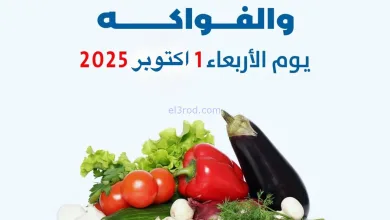 el3rod.com00005