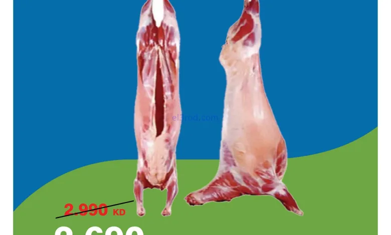 el3rod.com00010