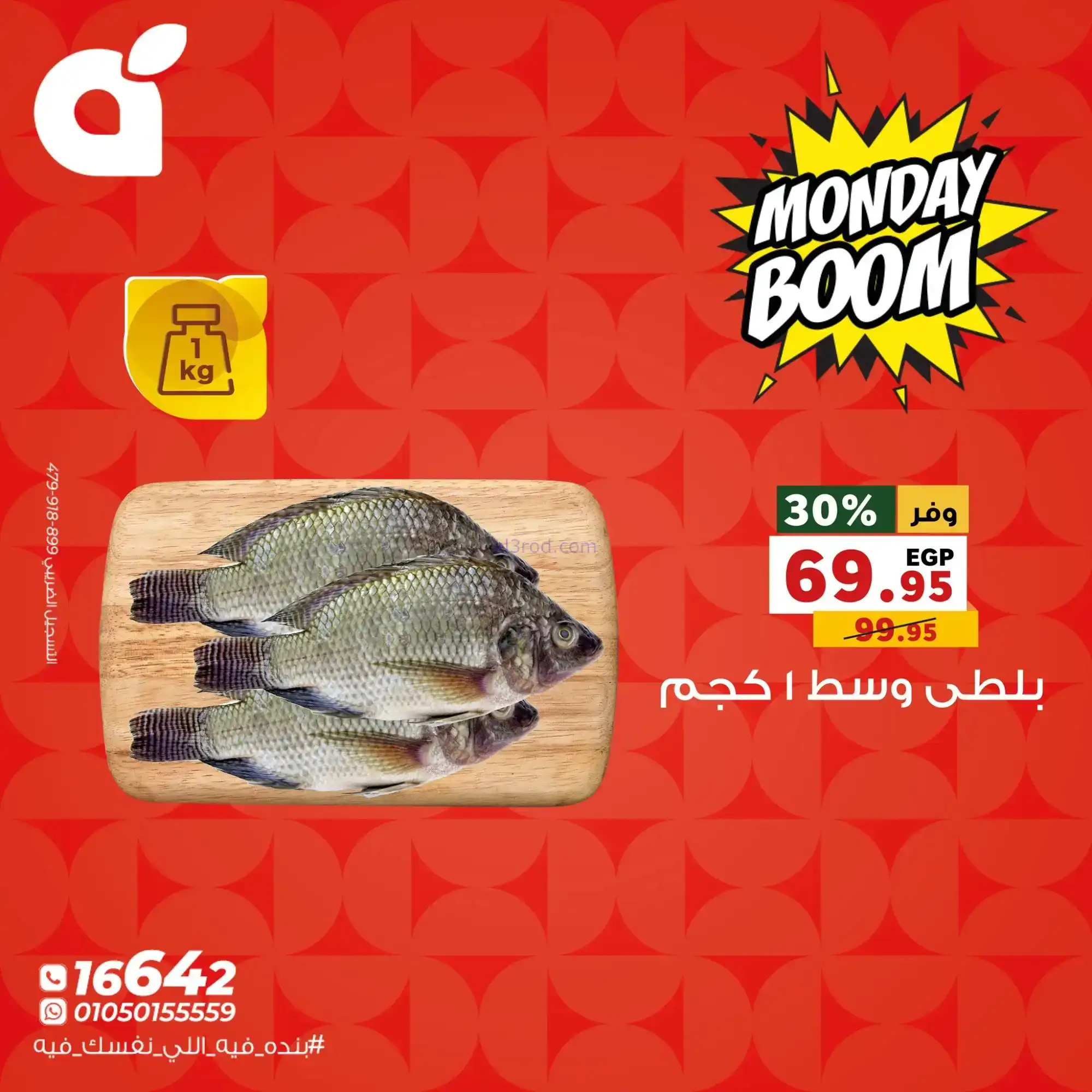 عروض بنده مصر|الاثنين|24-11-2025