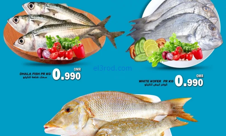 el3rod.com00001