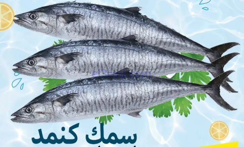 el3rod.com00001