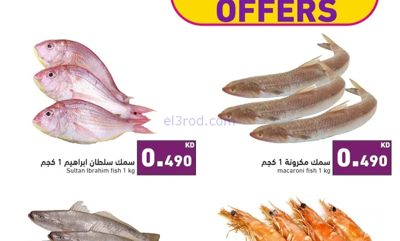 el3rod.com00001