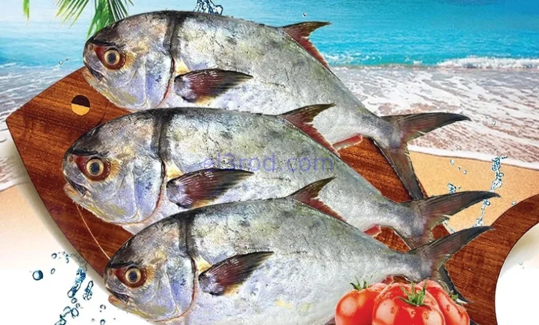el3rod.com00001