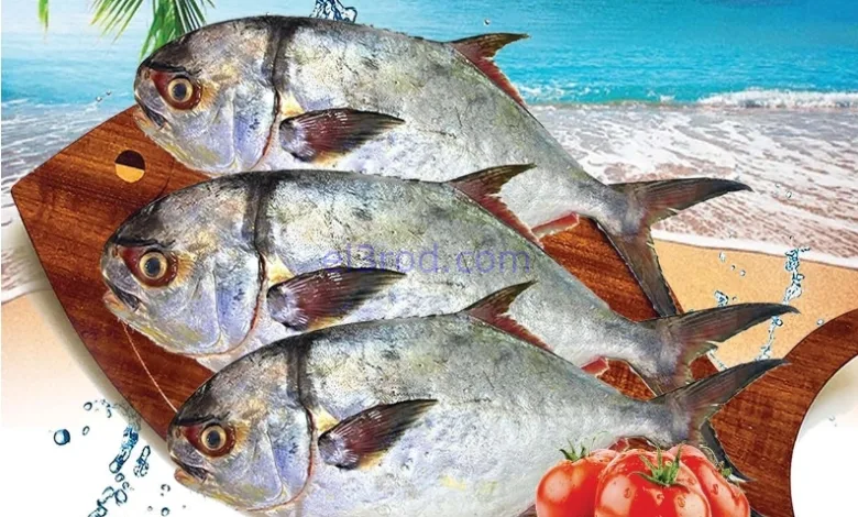 el3rod.com00001