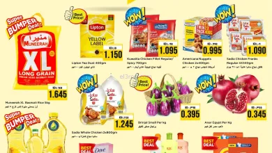 عروض نستو الكويت|عجائب الاحد|16-11-2025 el3rod.com00001