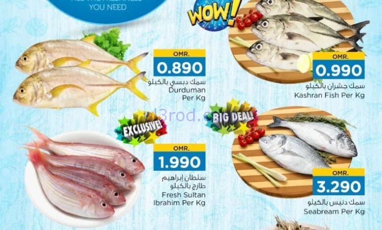 el3rod.com00001