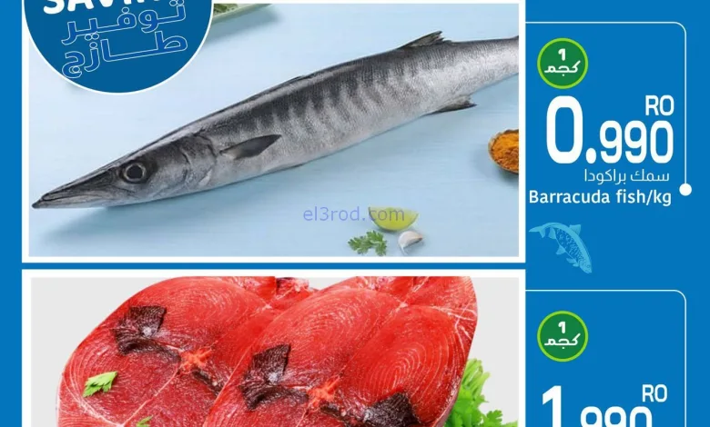 el3rod.com00001