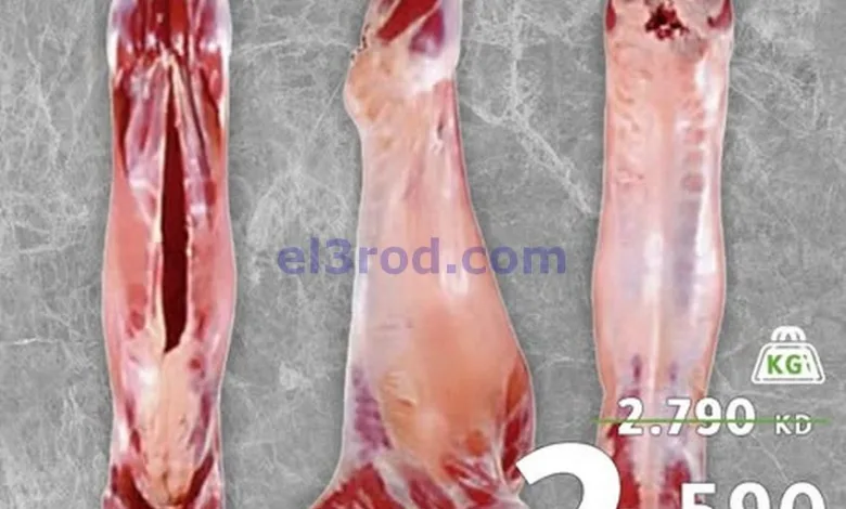 el3rod.com00002