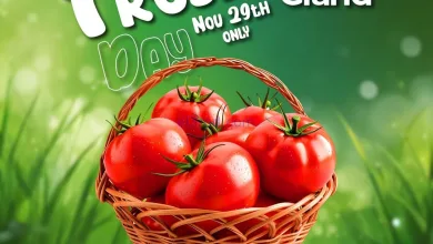 el3rod.com00002