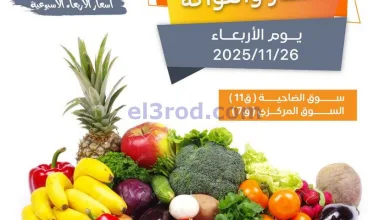 el3rod.com00003
