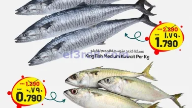 el3rod.com00003