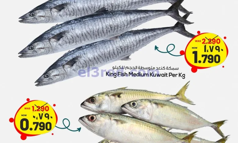el3rod.com00003