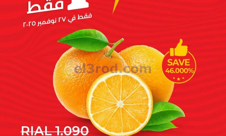 el3rod.com00003