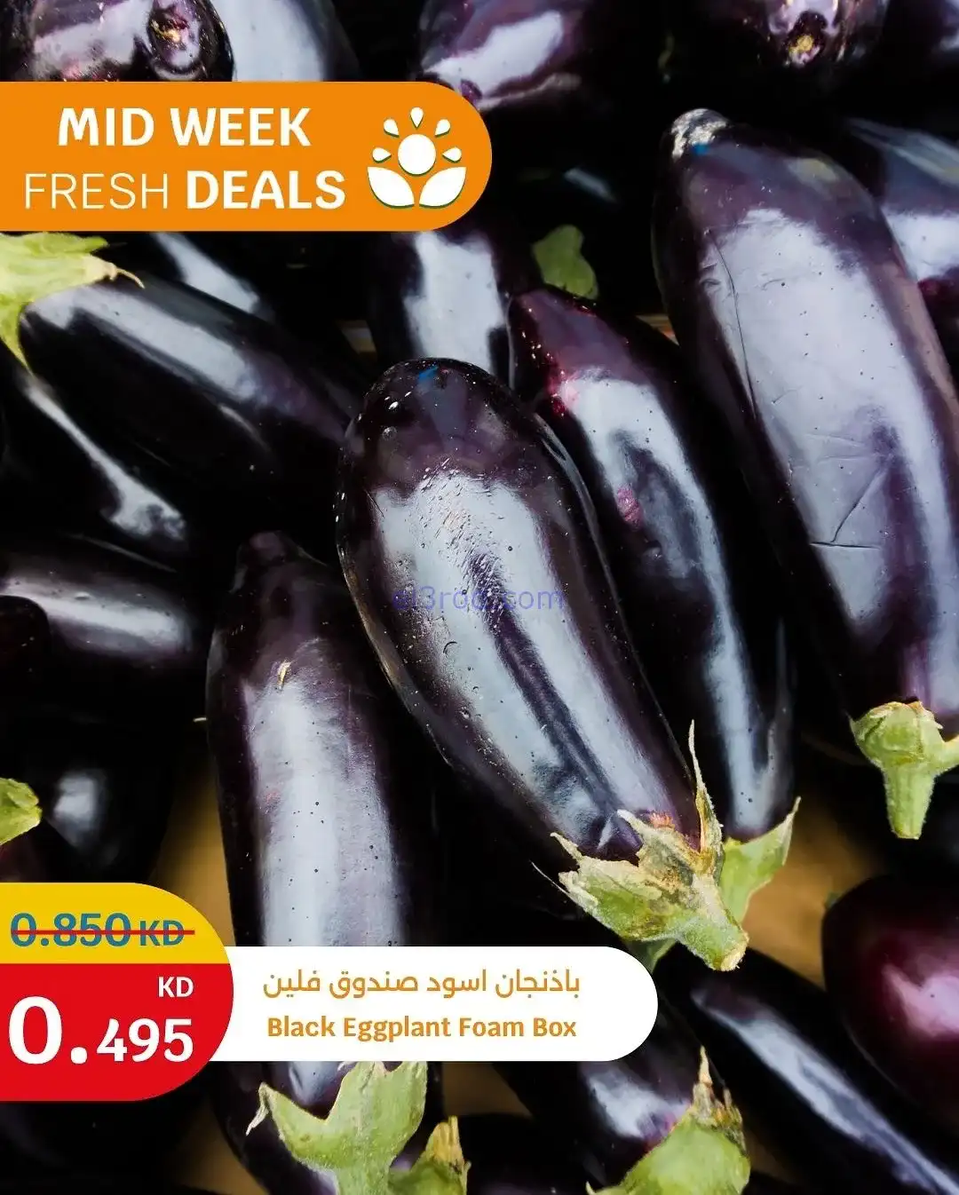 عروض سيتى ماركت الكويت|طازجة|3 حتى 4-11-2025
