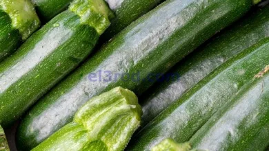el3rod.com00001