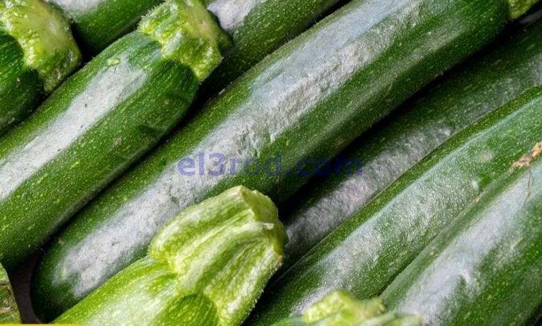 el3rod.com00001