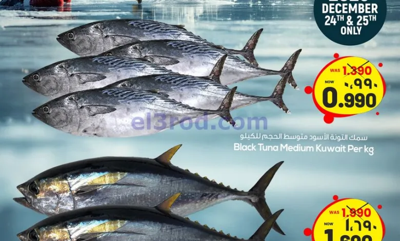 el3rod.com00001