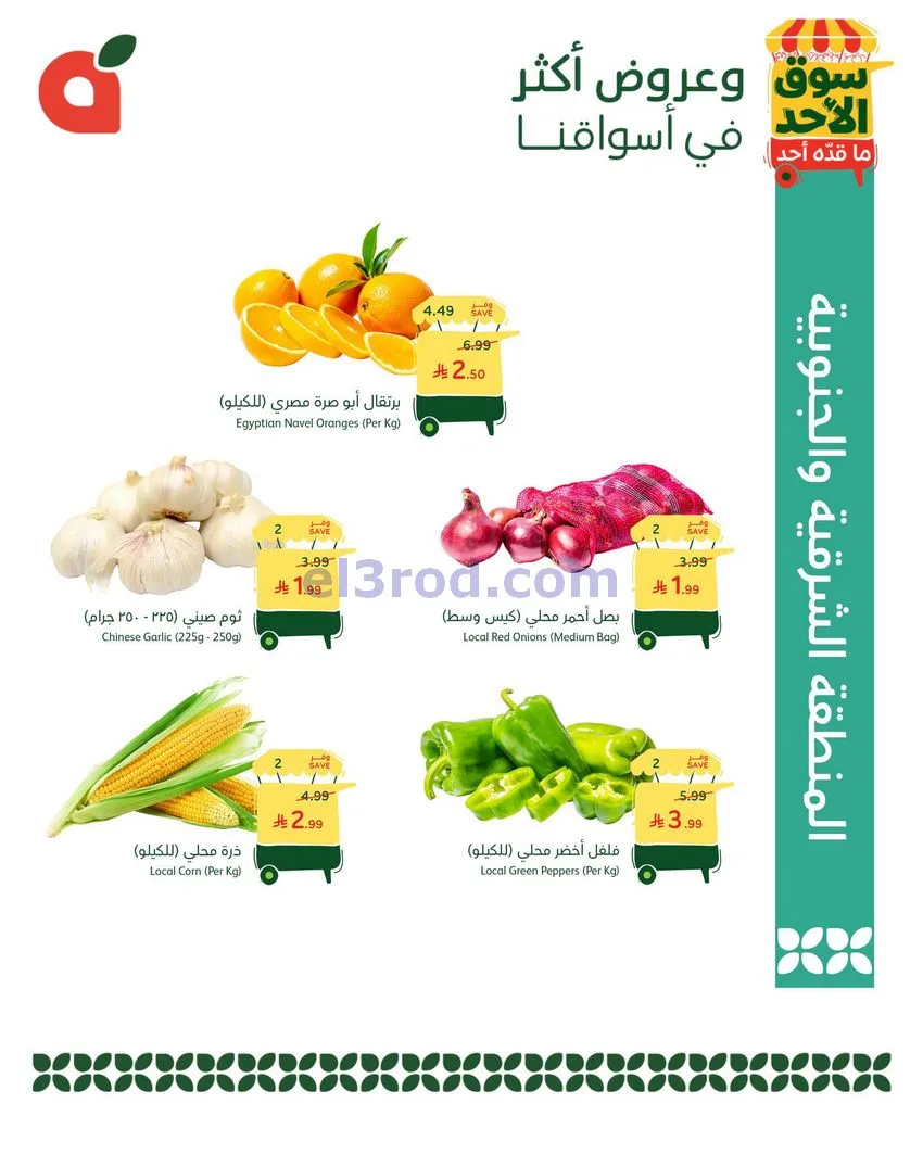 عروض بنده المنطقة الشرقية والجنوبية|28-12-2025