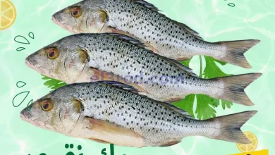 عروض تاج هايبر ماركت عمان|الثلاثاء|30-12-2025 el3rod.com00001