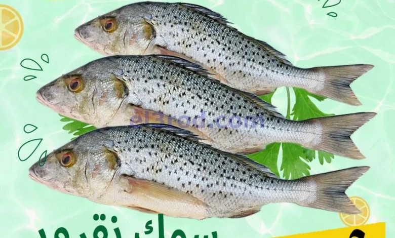 el3rod.com00001