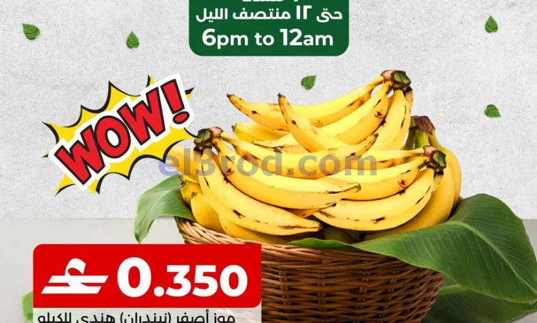 el3rod.com00001