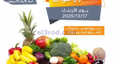 el3rod.com00001