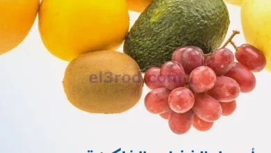 el3rod.com00001