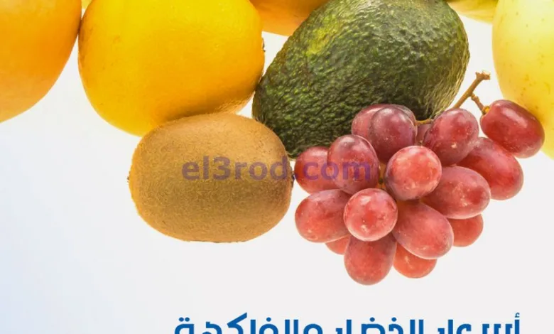 el3rod.com00001