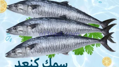 عروض تاج هايبر ماركت عمان|سمك كنعد|17-12-2025 el3rod.com00001