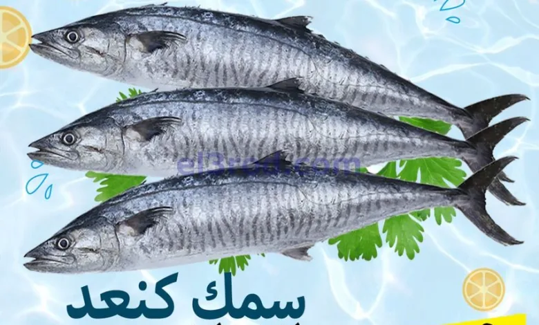 el3rod.com00001