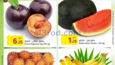 el3rod.com00001
