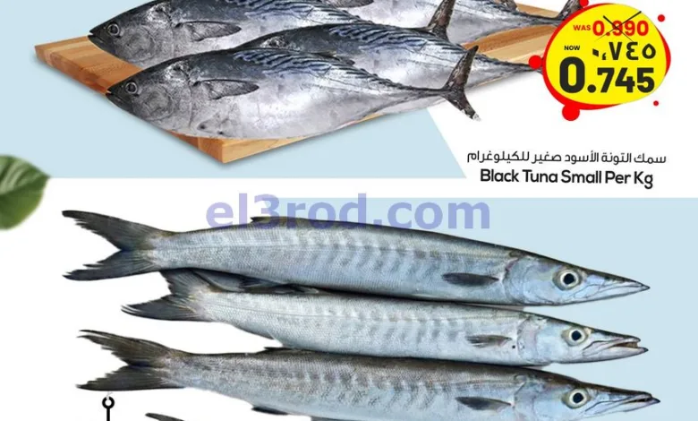 el3rod.com00002