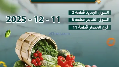 el3rod.com00002