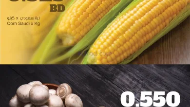 el3rod.com00002