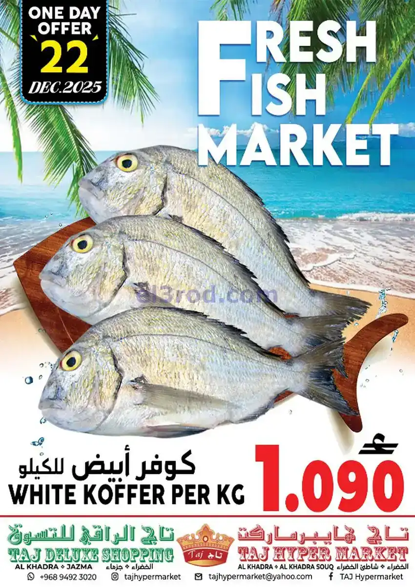 عروض تاج هايبر ماركت عمان|22 حتى 23-12-2025