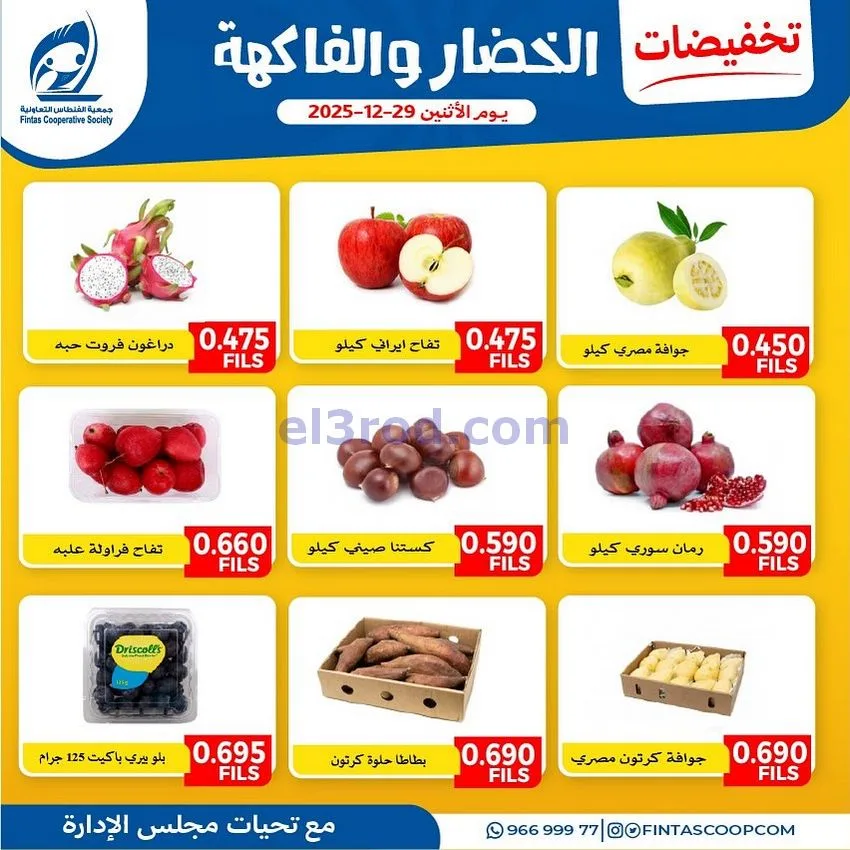 عروض جمعية الفنطاس التعاونية|الاثنين|29-12-2025