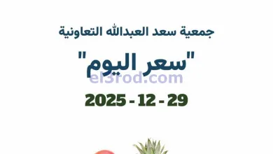 el3rod.com00003