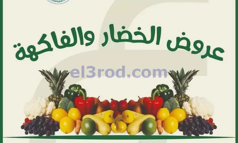 el3rod.com00003