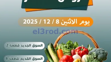 el3rod.com00003