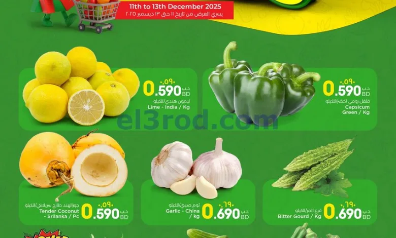 el3rod.com00003